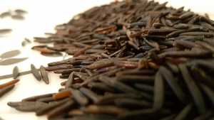 Wild Rice Recipe