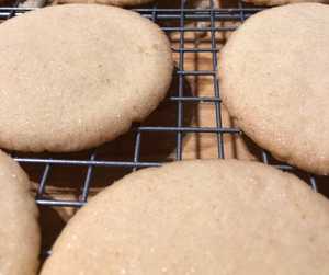 Favorite Sugar Cookies Recipe