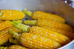 Boiled Corn on the Cob Recipe