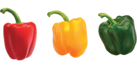 Vegetables
