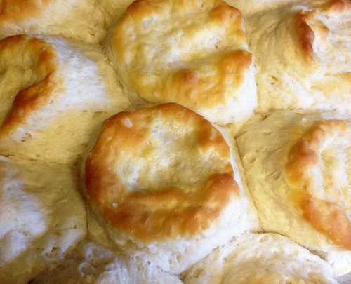Biscuits on the Oven